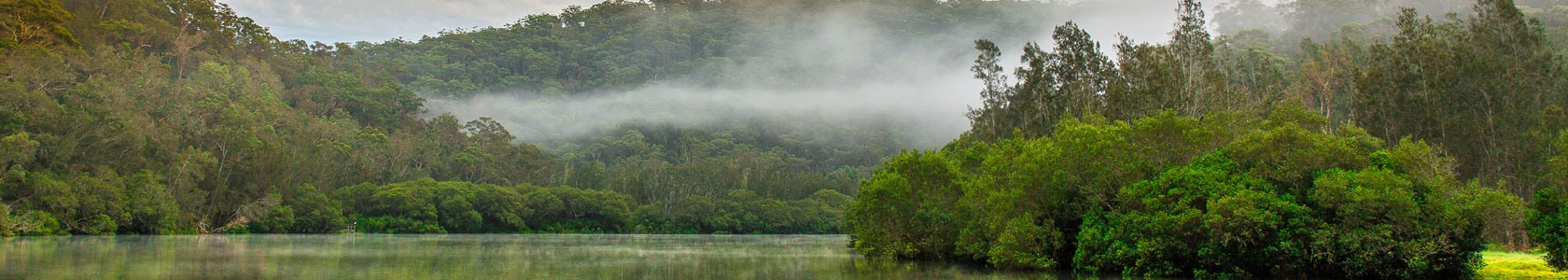 华体网页版登录界面